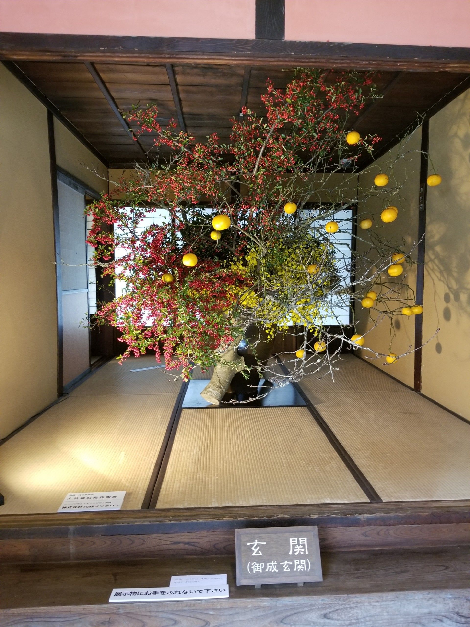 假屋崎省吾さんとうだつの町 脇町 | 万年 山猫だより 日々徒然日記