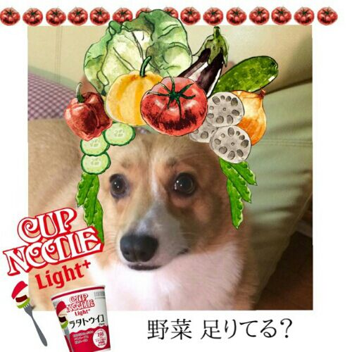 rblog-20160228100730-01.jpg
