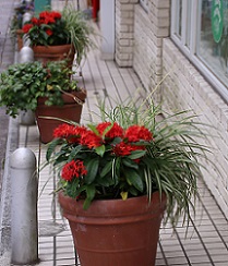 IMG_3030-12.jpg