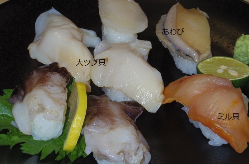 2014_1220_164752-IMGP3593.JPG