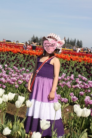 Wooden Shoe Tulip Farm