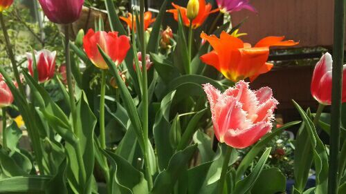 rblog-20180408004709-02.jpg