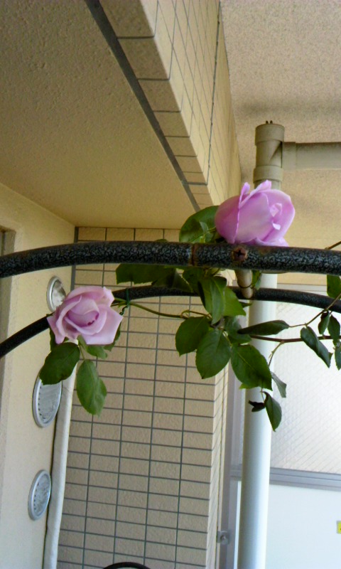 130428_1125~02.jpg