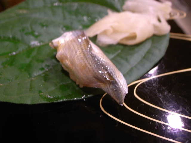 RIMG22079.JPG