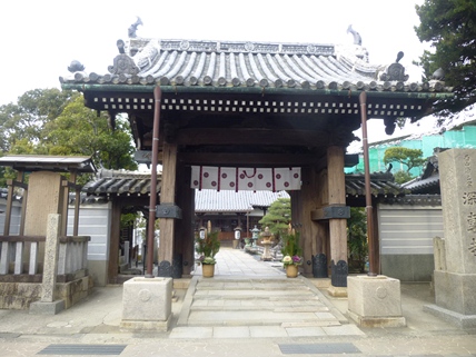 P1000953 (2).JPG