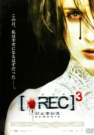 Ｄ　映画オリジナルポスター　悪魔の棲む家　Ｂ２　美品　ホラー D 映画オリジナルポスター 悪魔の棲む家 B2 美品 ホラー