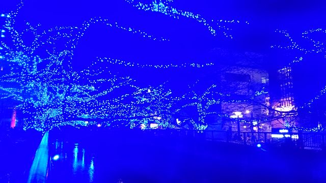 2014-12-02 18.32.36.jpg