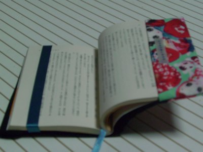 CIMG4379 (400x300).jpg