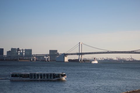 IMG_8929.JPG