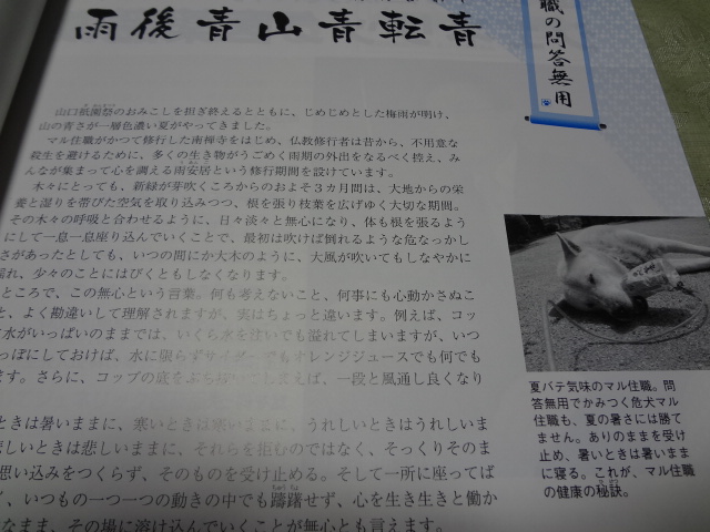 DSC01122.JPG