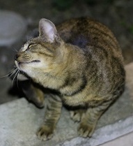 5DA_8890-3.jpg