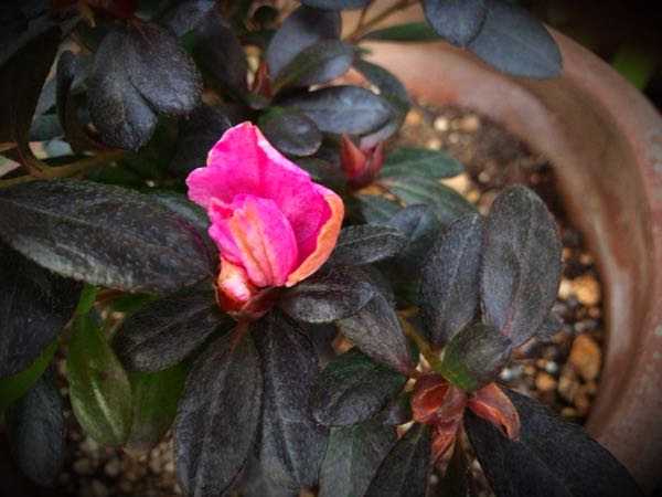 rblog-20161226172939-08.jpg