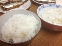 骨太３