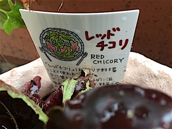 rblog-20160330183433-08.jpg