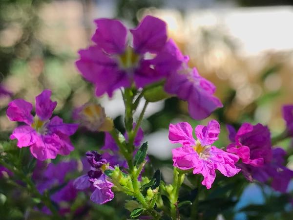 rblog-20181029111210-00.jpg