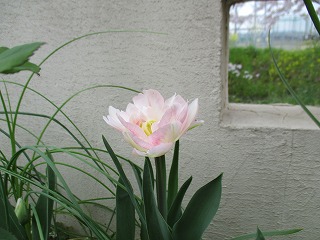 IMG_8896ss.jpg