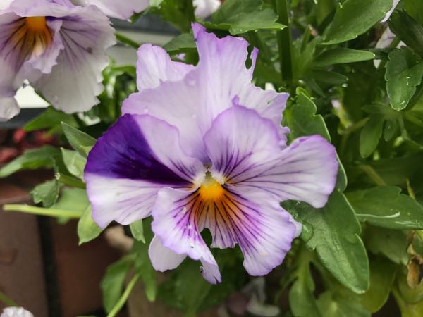 rblog-20170429153020-02.jpg