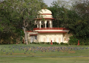 インド831.jpg
