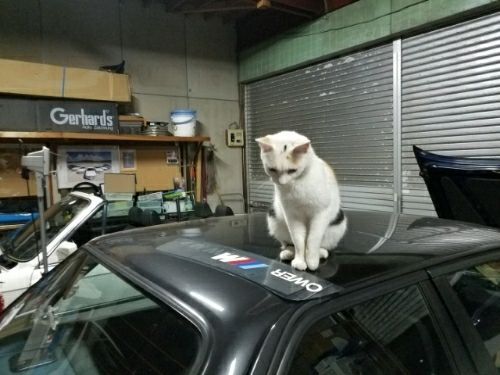 rblog-20180830005900-04.jpg