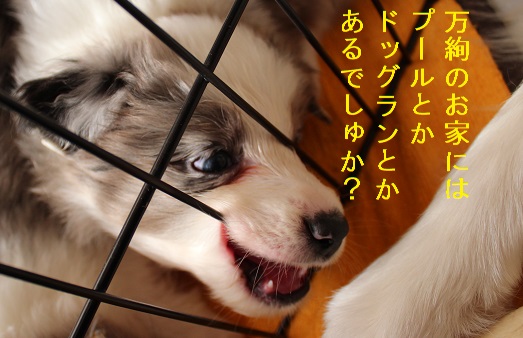 お金持ち?