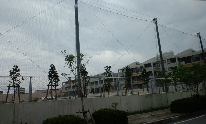 天久小.JPG