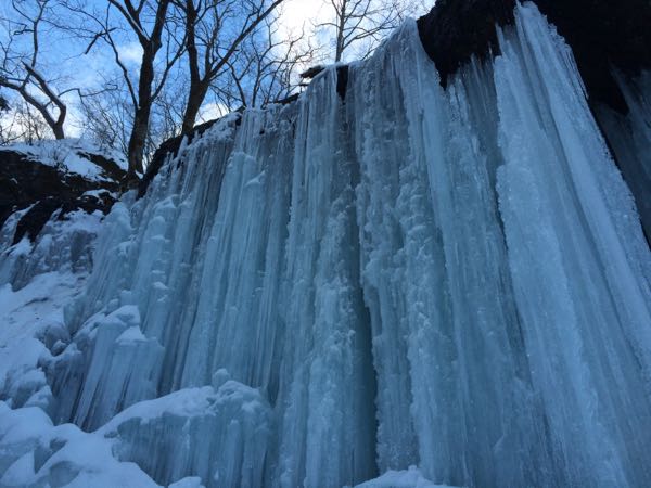 rblog-20160131234755-00.jpg
