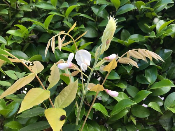 rblog-20180624181305-08.jpg
