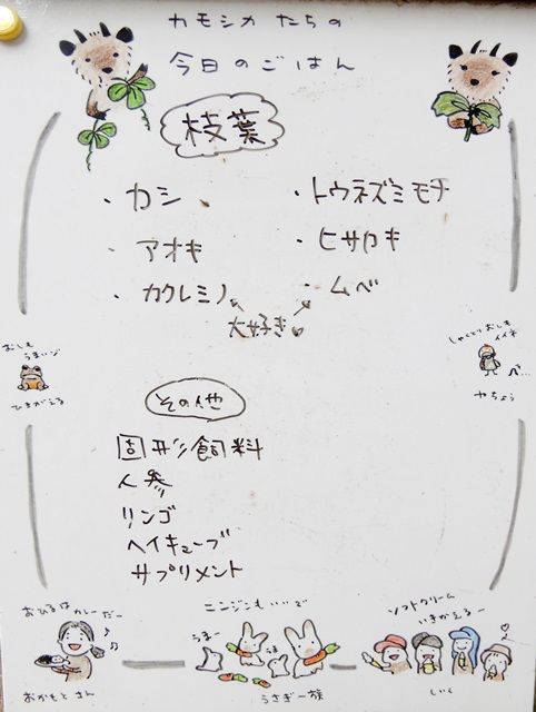 ホワイトボード1