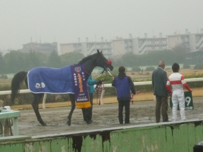 P1040755 (400x300).jpg