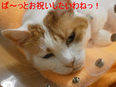 maru