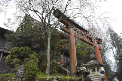 吉野18