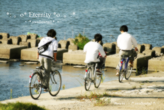 Photo by swallowtail .jpg