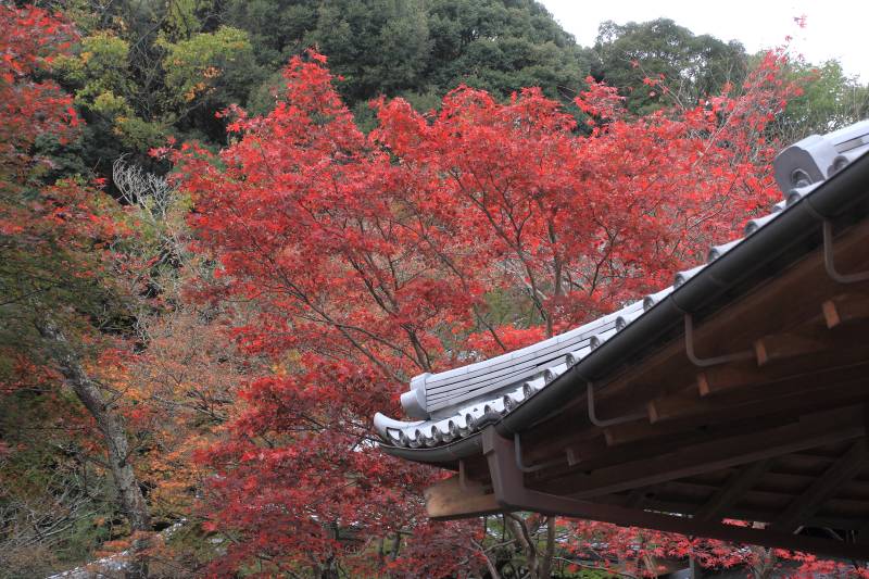 勝持寺_004書院.jpg