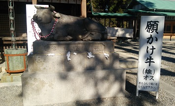 願掛け牛２