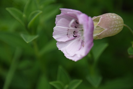 P1000878.jpg