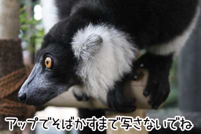 夜４.JPG