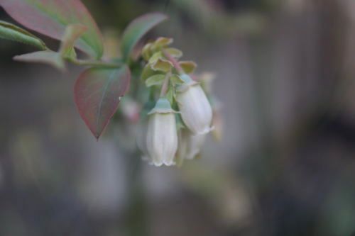 2015042203.jpg