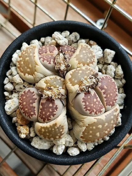 rblog-20180418111202-08.jpg