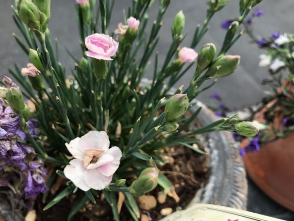 rblog-20190423182339-08.jpg