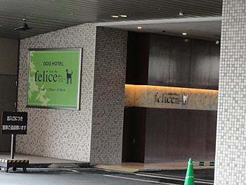 ドッグホテルフェリーチェ