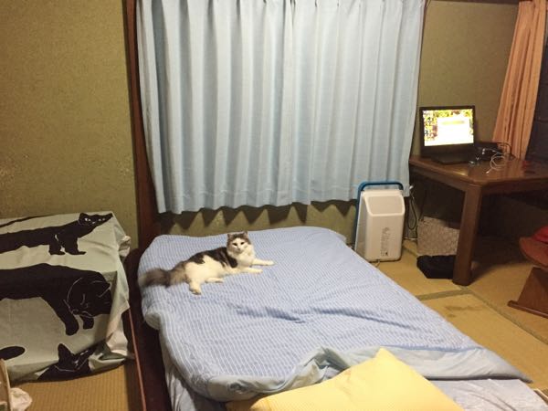 rblog-20150821224318-01.jpg