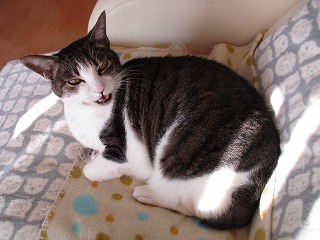 IMG_4546ss.jpg