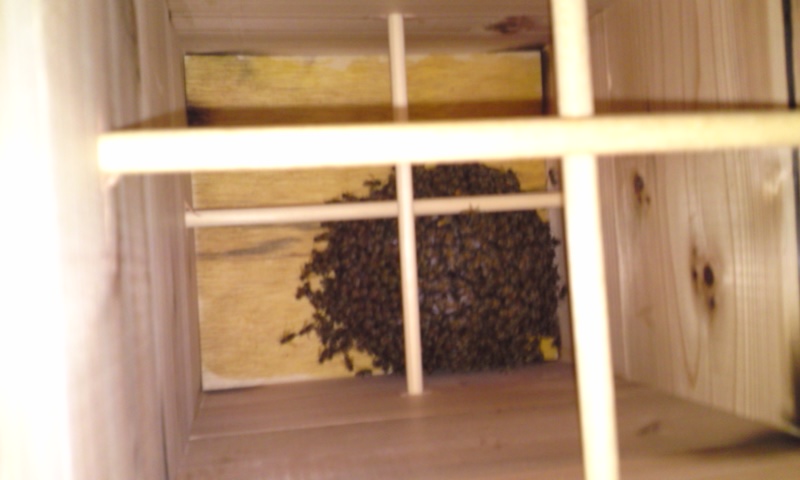 120508_2142~01.jpg