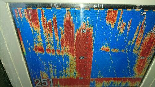rblog-20180126131507-02.jpg