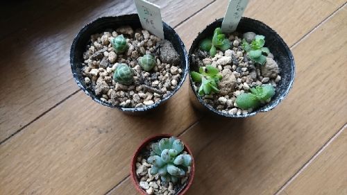 rblog-20190102144325-01.jpg