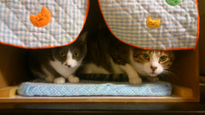 rblog-20131022160136-01.png