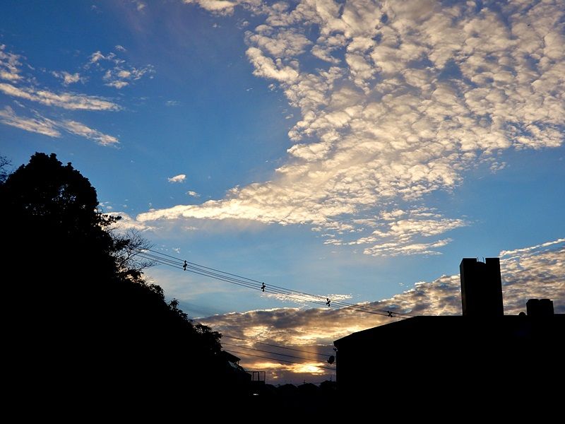 夕暮れ2