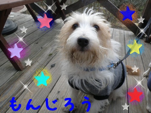 もんじろう.JPG