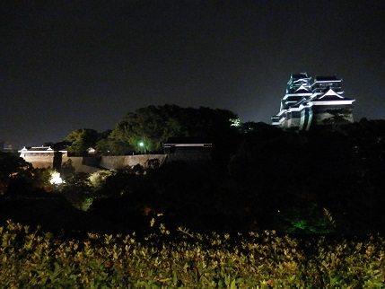 熊本城2013-1