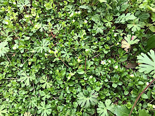 rblog-20190401164110-09.jpg